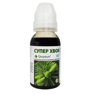 Хвоя