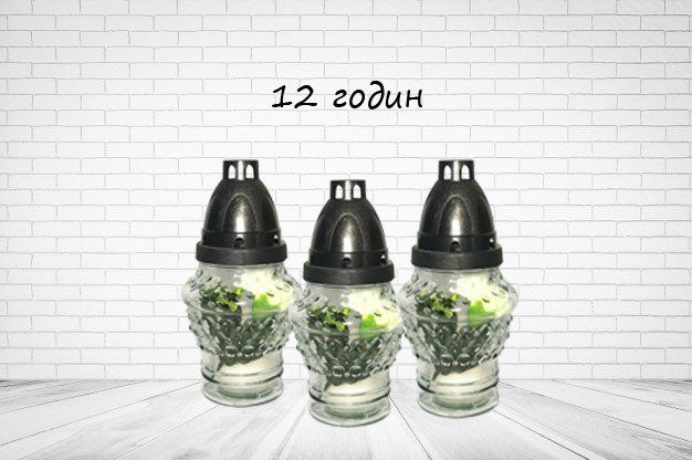 lampadka-tsvetok-12-chasov-goreniya-63814745216383.jpg