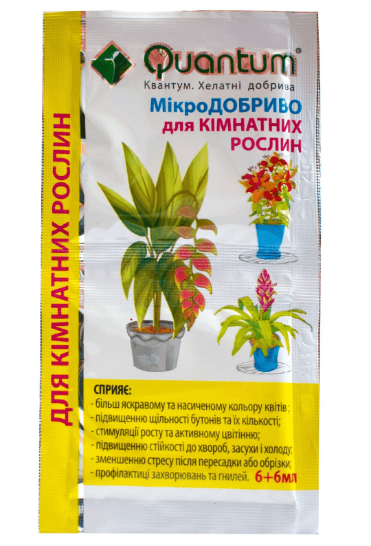 p656942305-kvantum-komnatnye-rasteniya-98916511630628.png