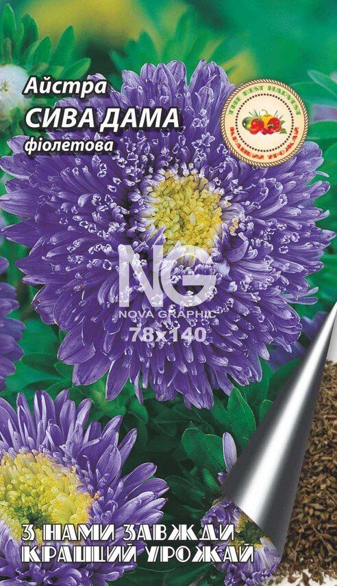 semena-tsvetov-astry-sedaya-dama-fioletovaya-tm.-luchshiy-urozhay-0.1g-82654411366362.jpg