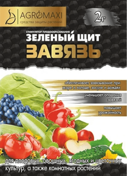 zelenyy-shchit-zavyaz-2-g-89834113974194.png